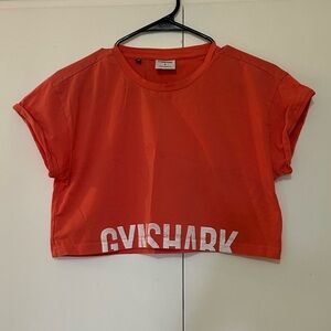 Gymshark Fraction Crop Top